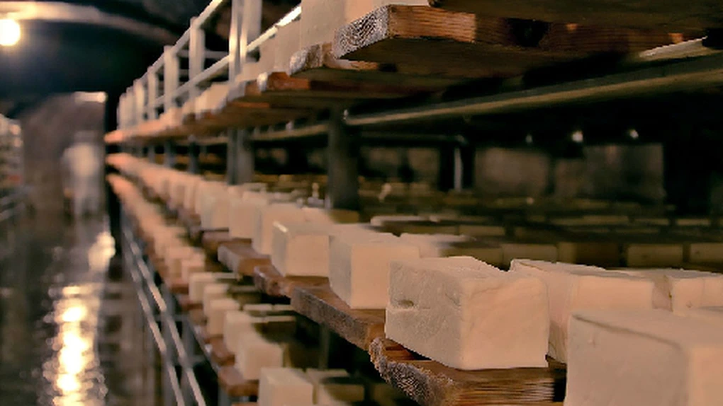 branza napolact-instanewscluj